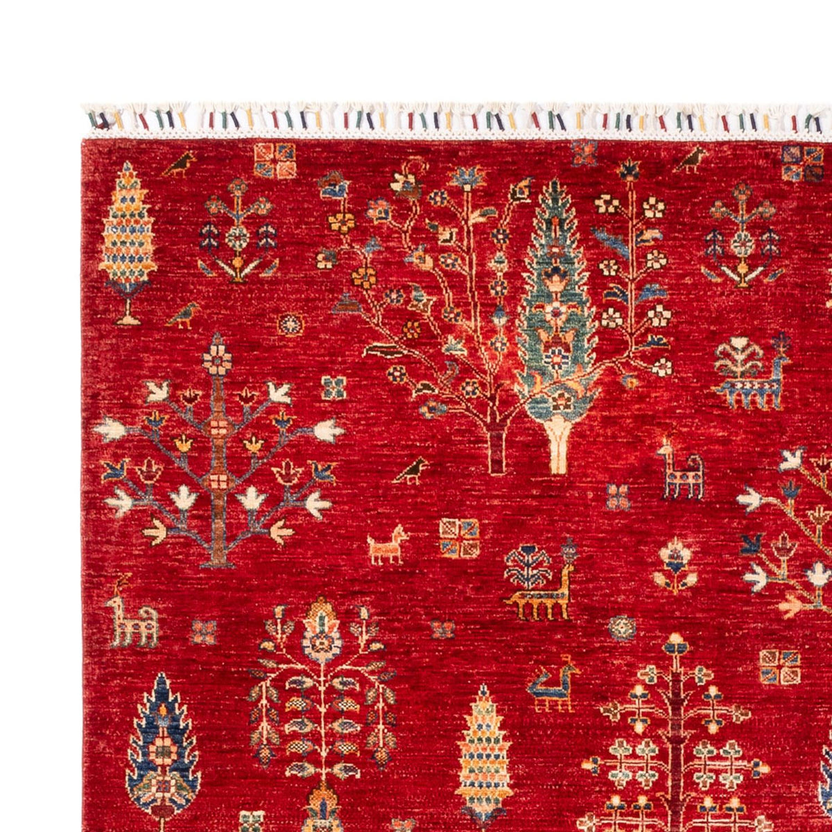 Ziegler Rug - Ariana - 300 x 206 cm - red