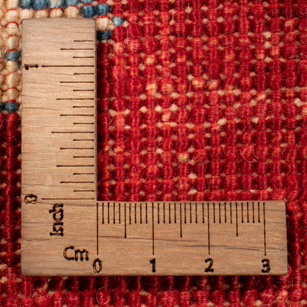 Ziegler Rug - Ariana - 300 x 206 cm - red