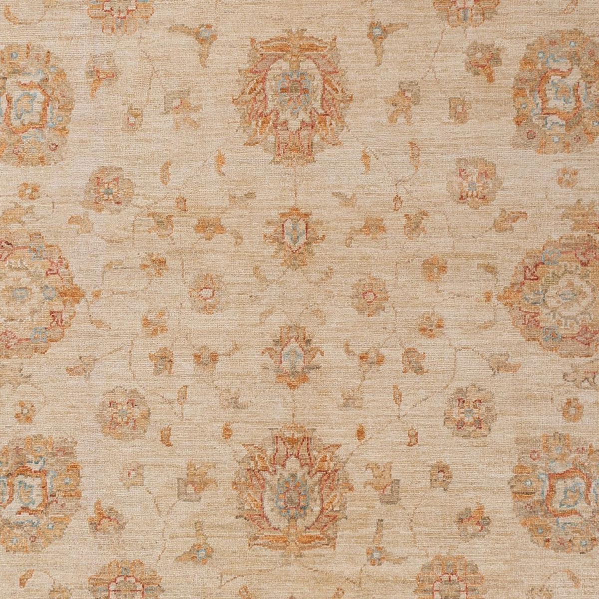 Ziegler Rug - 299 x 205 cm - beige