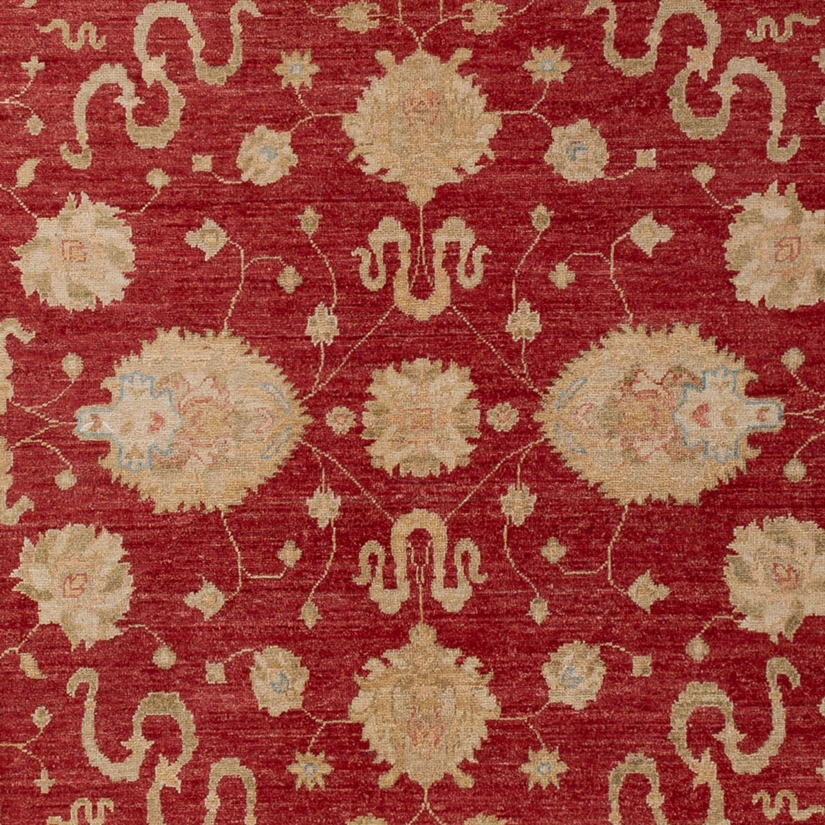 Ziegler Rug - 297 x 203 cm - red