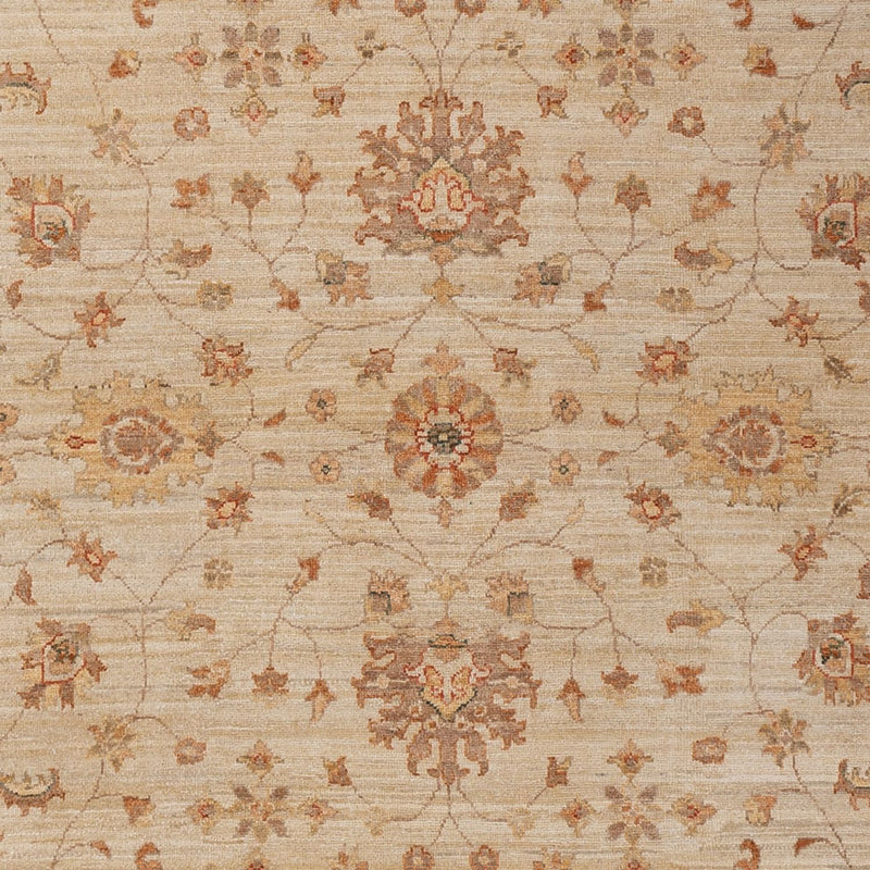 Ziegler Rug - 306 x 205 cm - beige