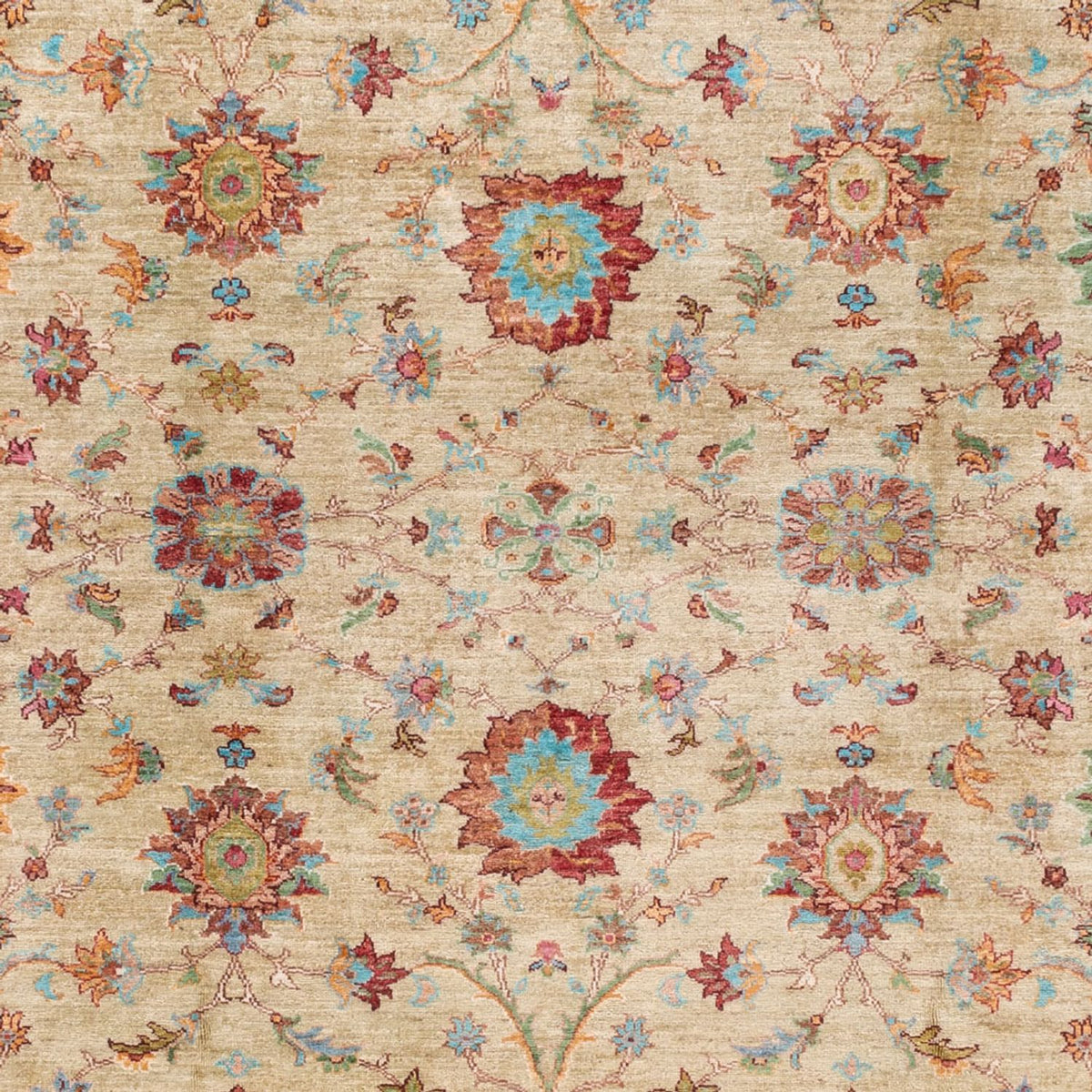 Ziegler Rug - Ariana - 300 x 242 cm - beige