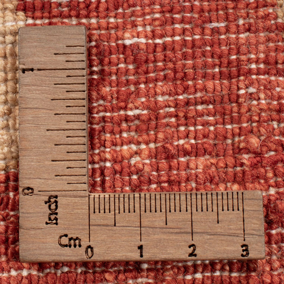 Ziegler Rug - Ariana - 319 x 212 cm - beige