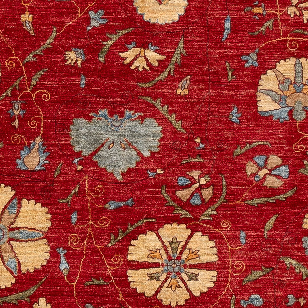 Ziegler Rug - Ariana - 236 x 172 cm - red