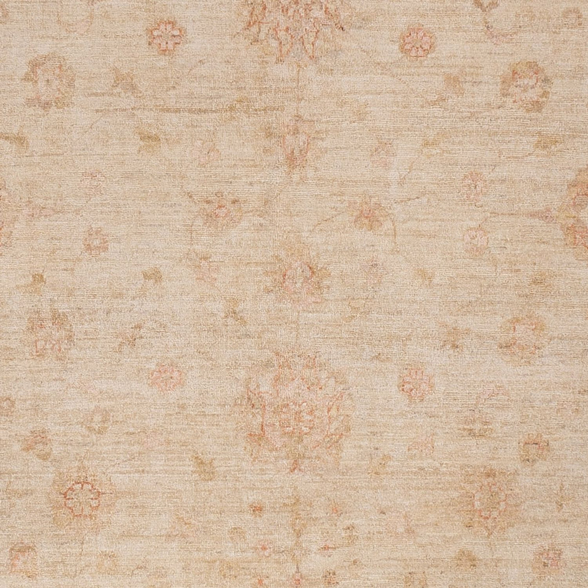 Ziegler Rug - 295 x 254 cm - beige
