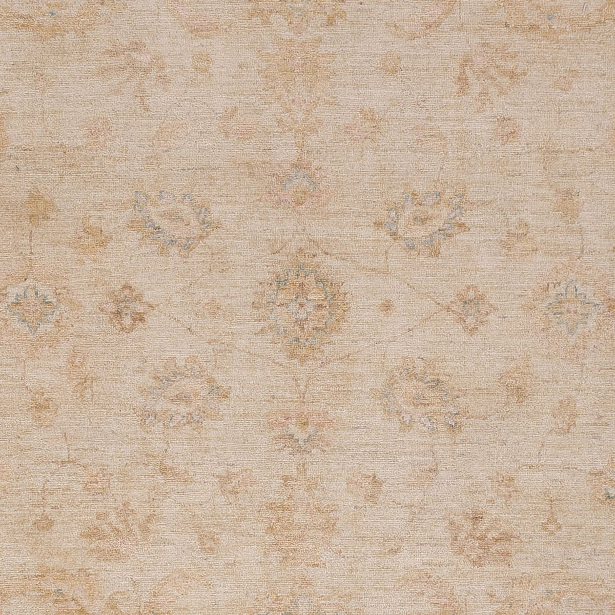 Ziegler Rug - 298 x 250 cm - beige