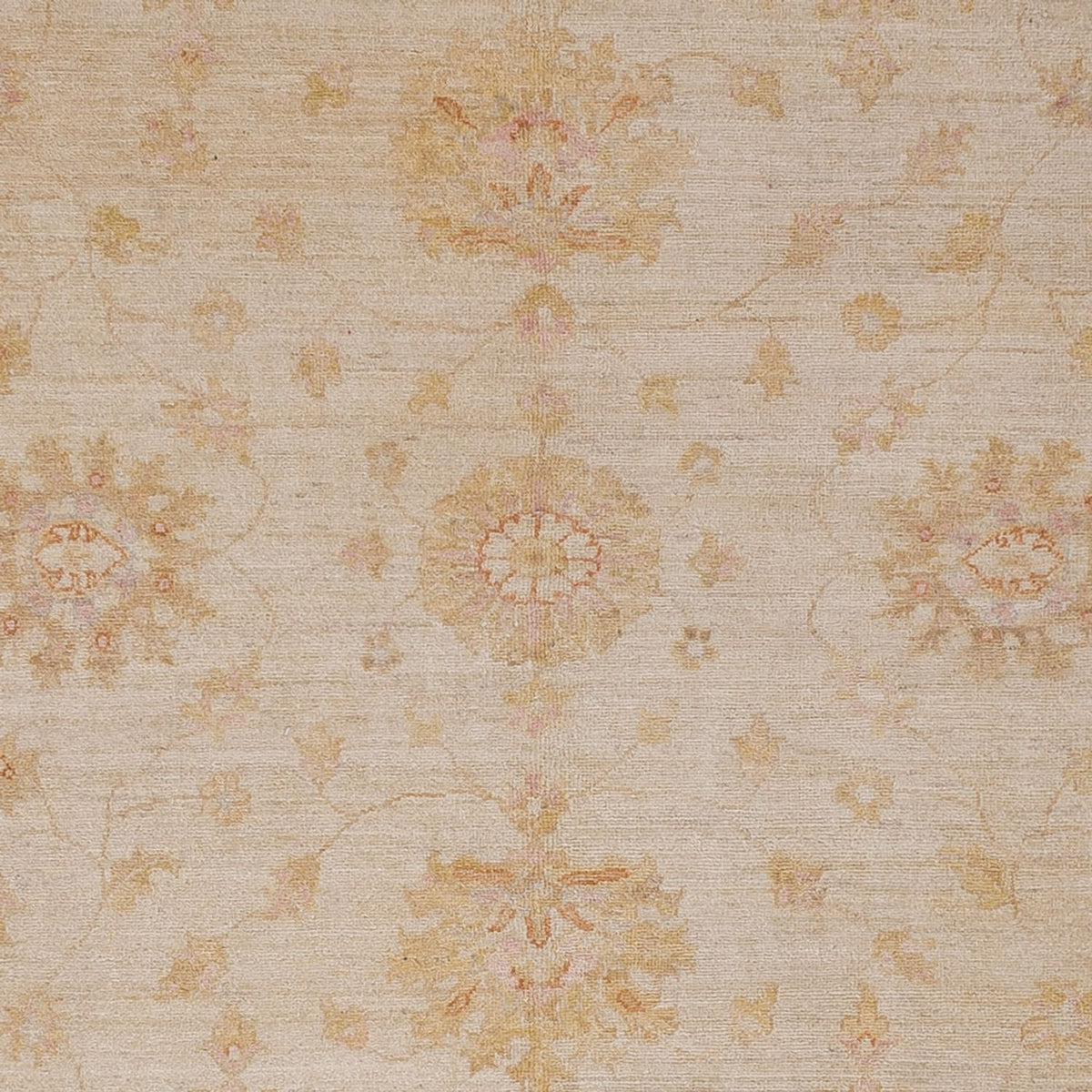 Ziegler Rug - 300 x 248 cm - beige