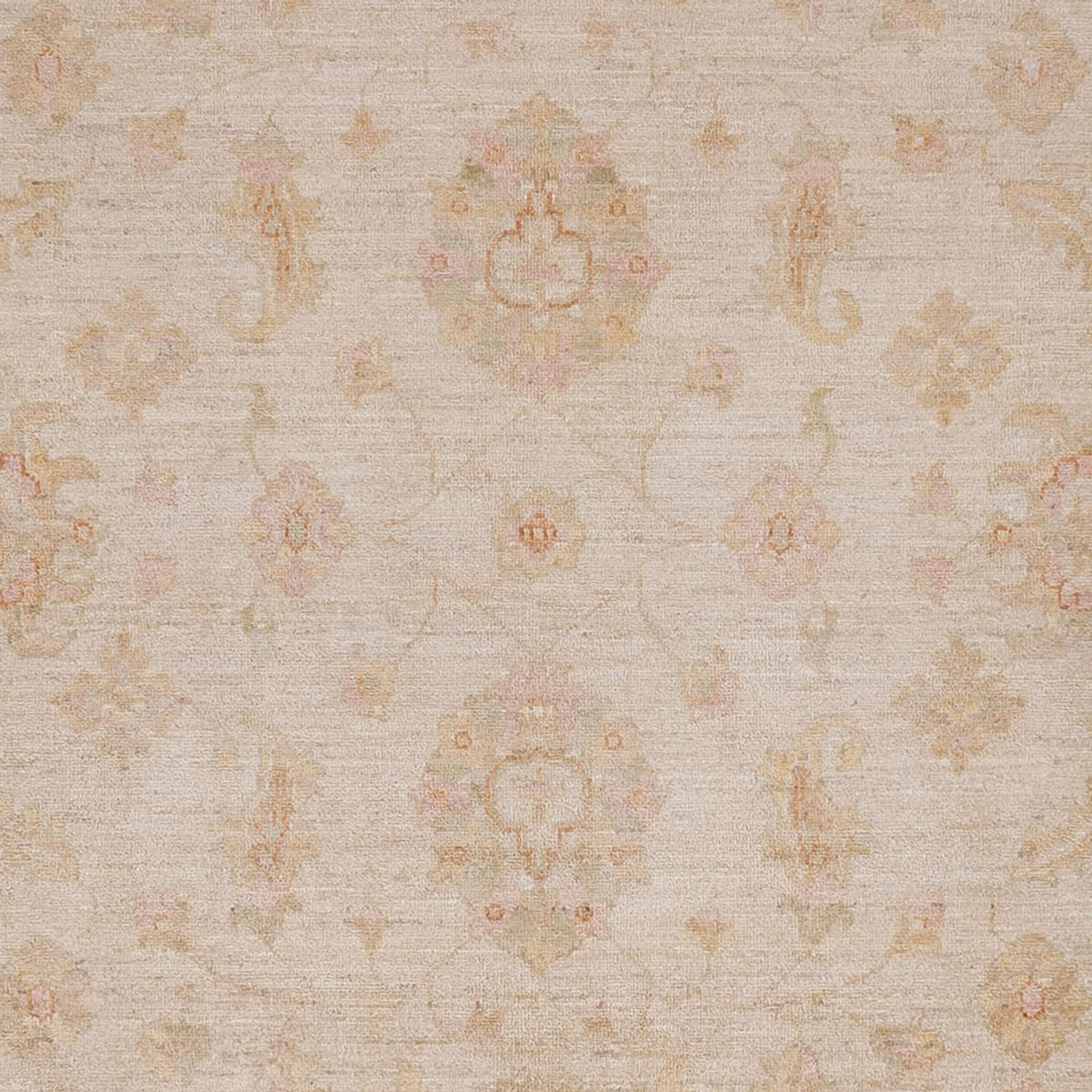Ziegler Rug - 298 x 255 cm - beige