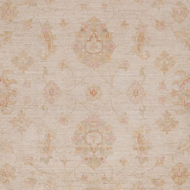 Ziegler Rug - 298 x 255 cm - beige