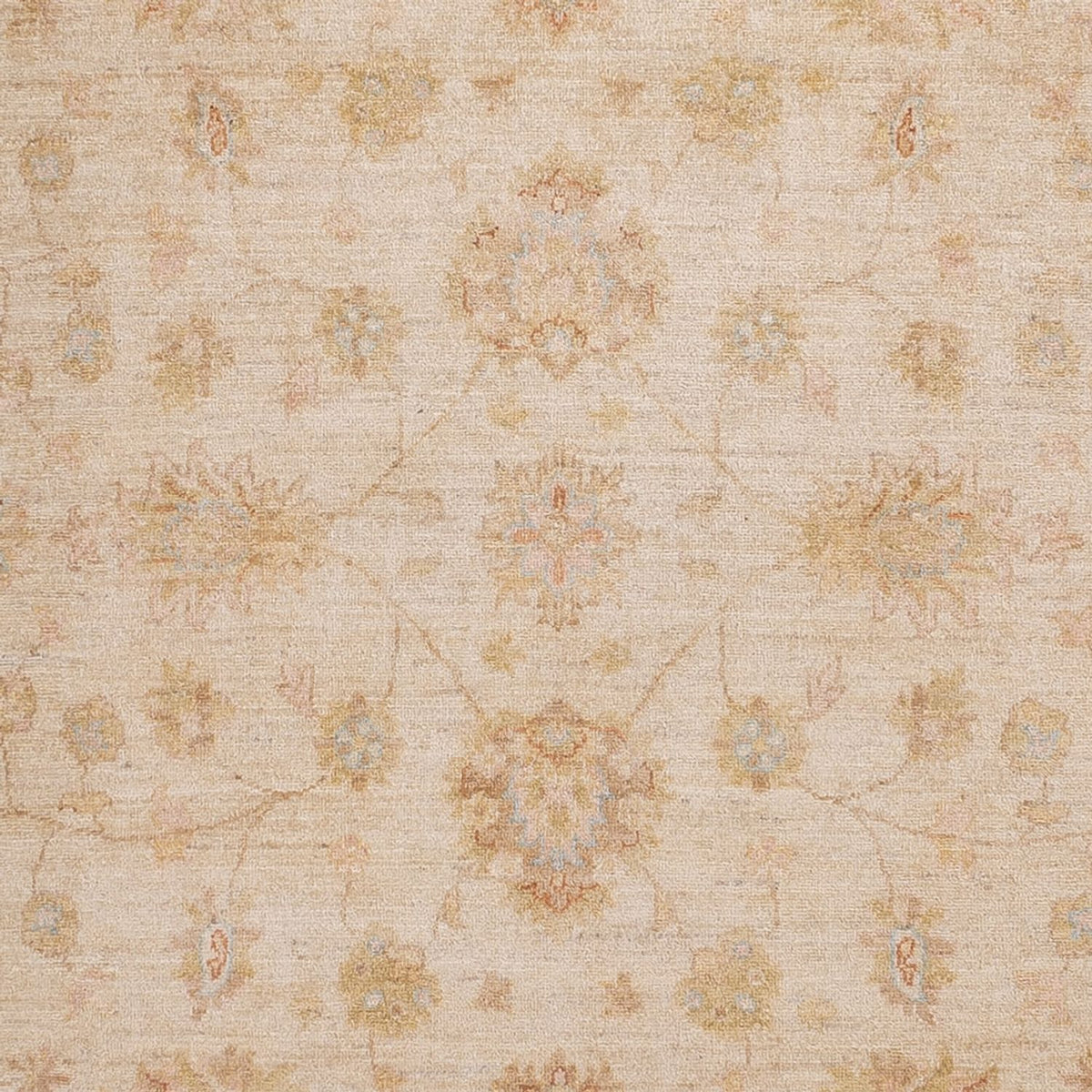 Ziegler Rug - 301 x 257 cm - beige