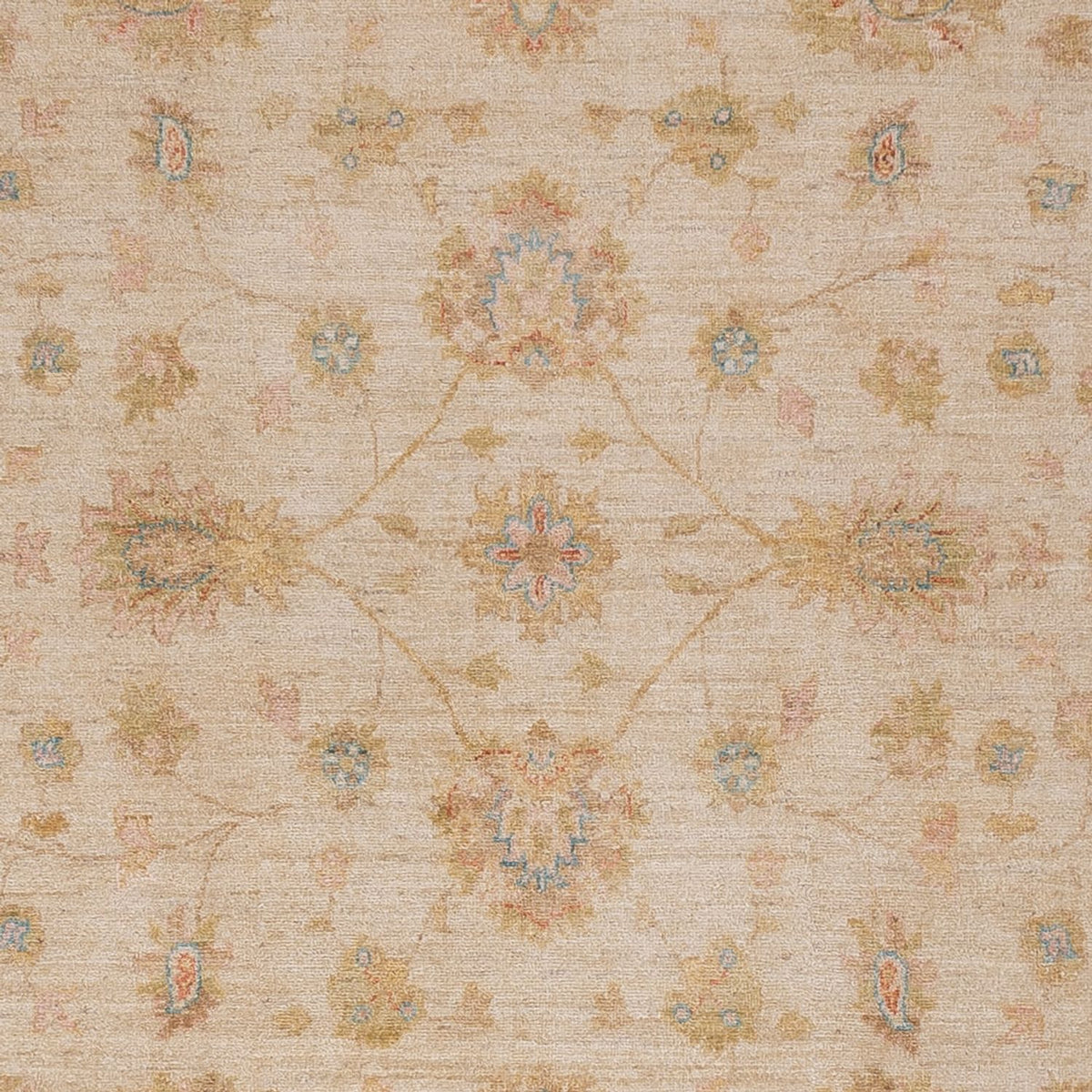 Ziegler Rug - 313 x 250 cm - beige
