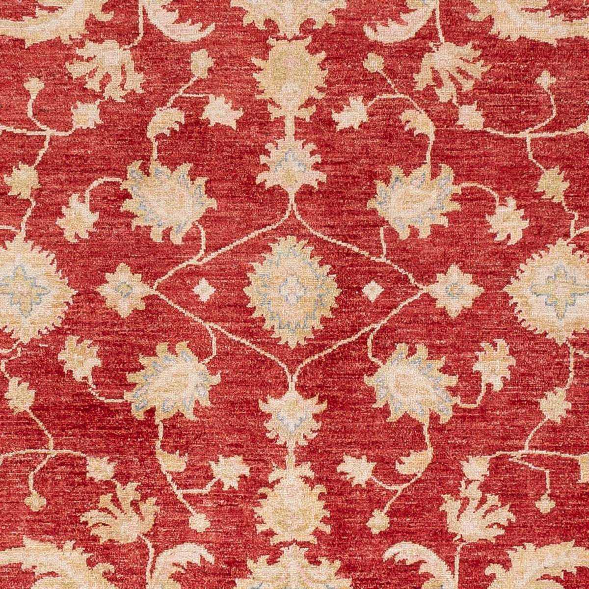 Ziegler Rug - 294 x 253 cm - red