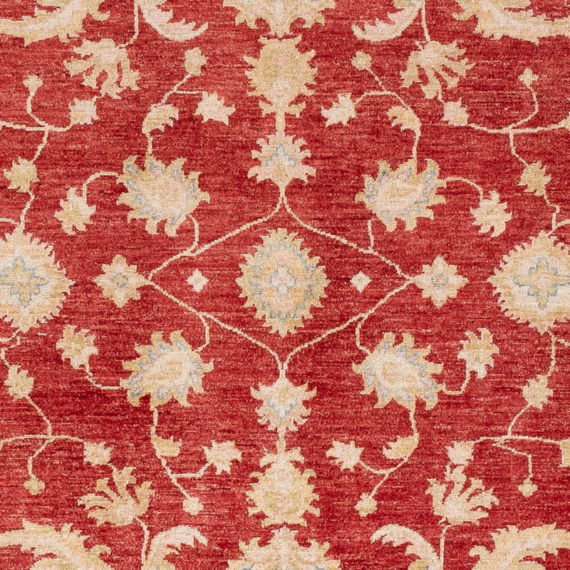 Ziegler Rug - 294 x 253 cm - red