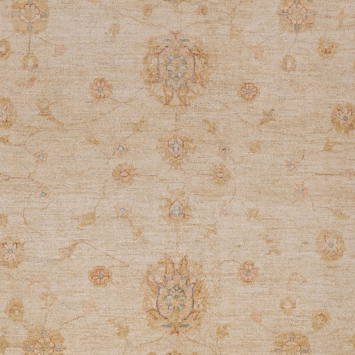 Ziegler Rug - 298 x 258 cm - beige
