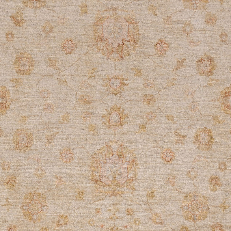 Ziegler Rug - 306 x 246 cm - beige