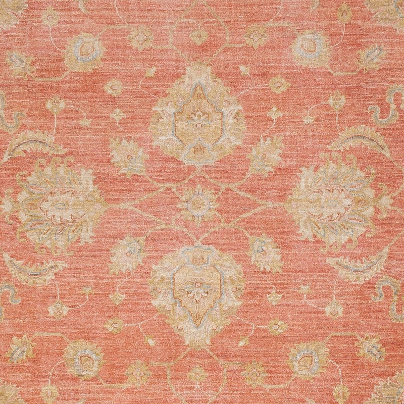Ziegler Rug - 301 x 254 cm - light red