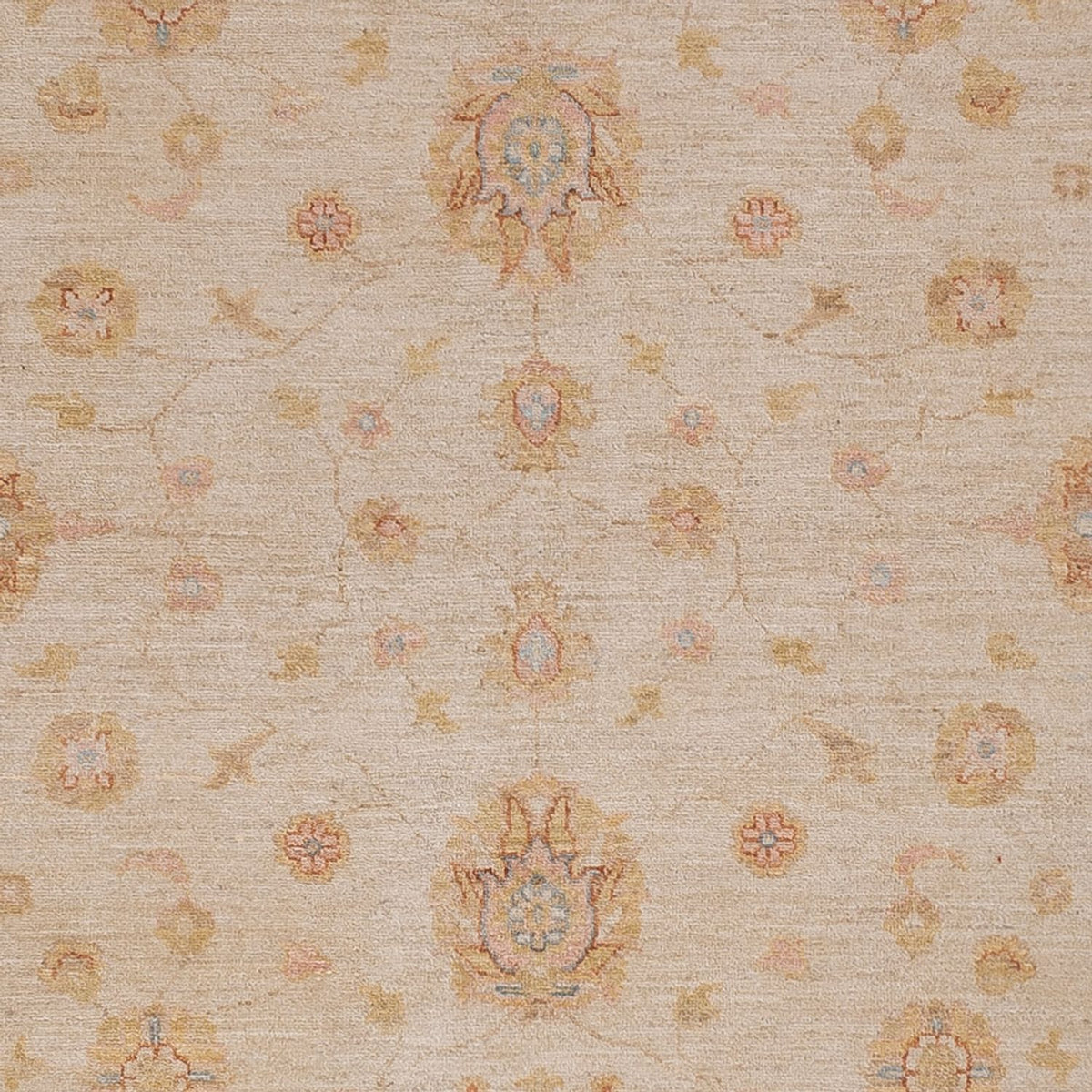 Ziegler Rug - 291 x 250 cm - beige