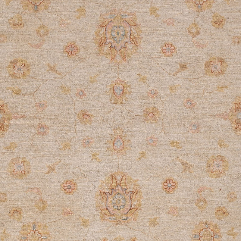 Ziegler Rug - 291 x 250 cm - beige