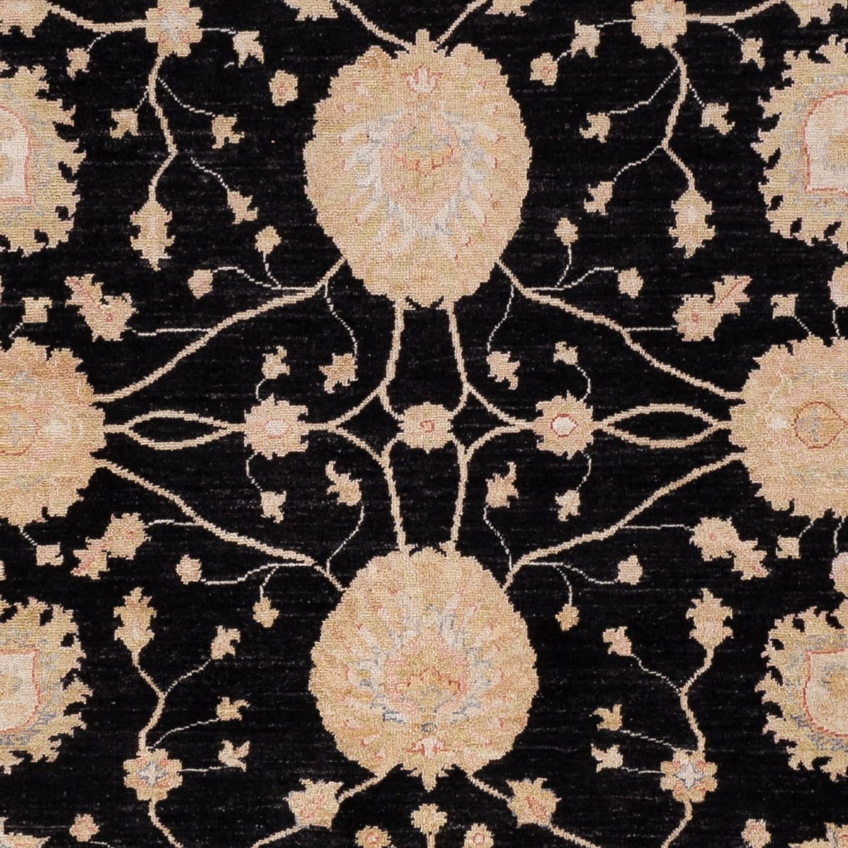 Ziegler Rug - 300 x 252 cm - black