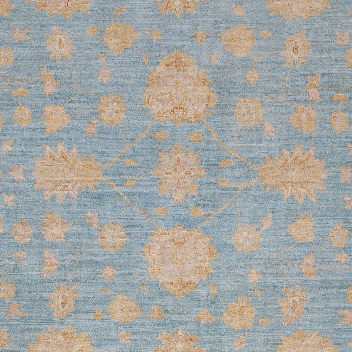 Ziegler Rug - 302 x 258 cm - light blue