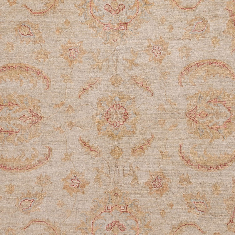 Ziegler Rug - 302 x 248 cm - beige