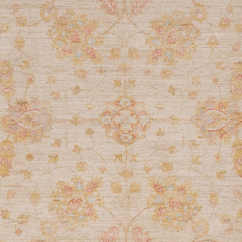 Ziegler Rug - 314 x 250 cm - beige