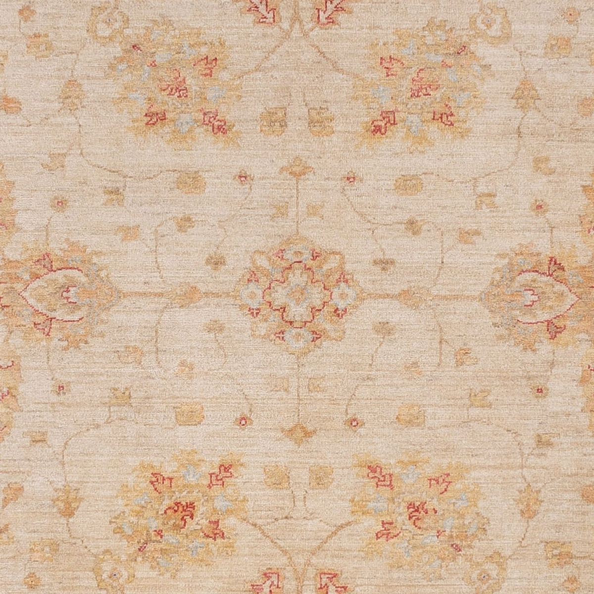 Ziegler Rug - 319 x 246 cm - beige