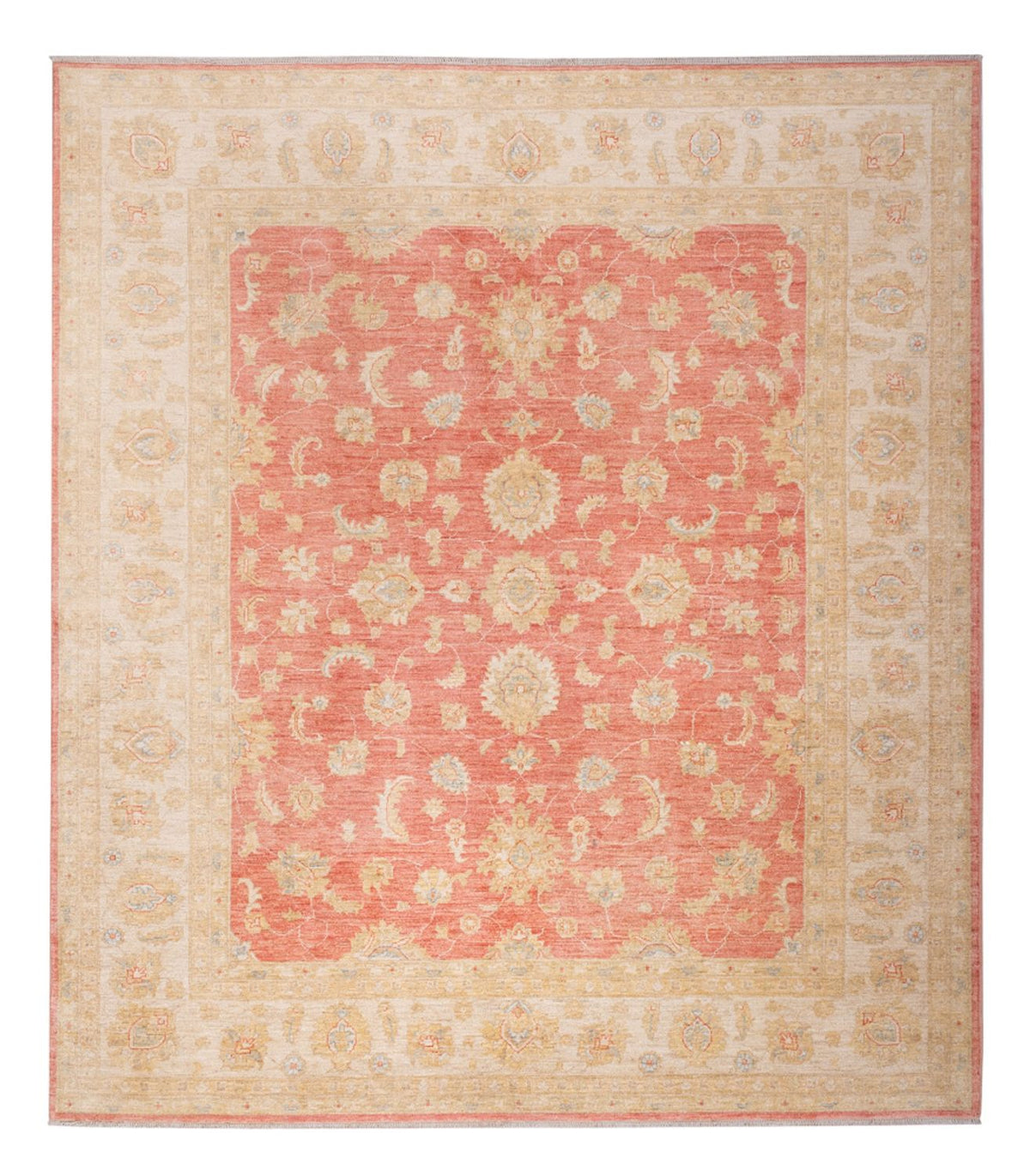 Ziegler Rug - 291 x 250 cm - light red