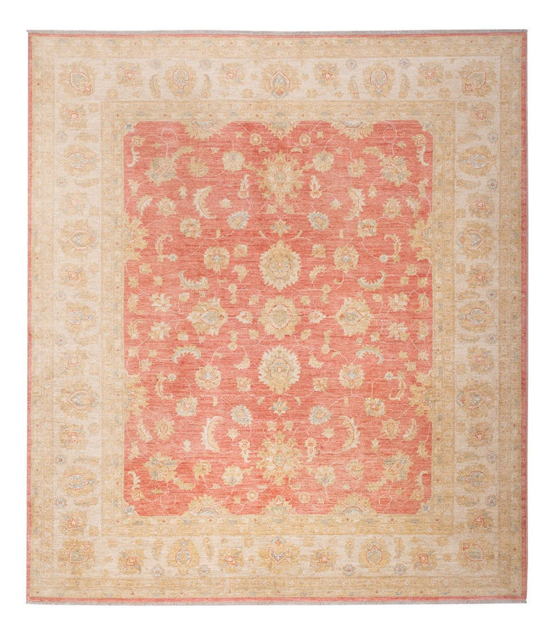 Ziegler Rug - 291 x 250 cm - light red