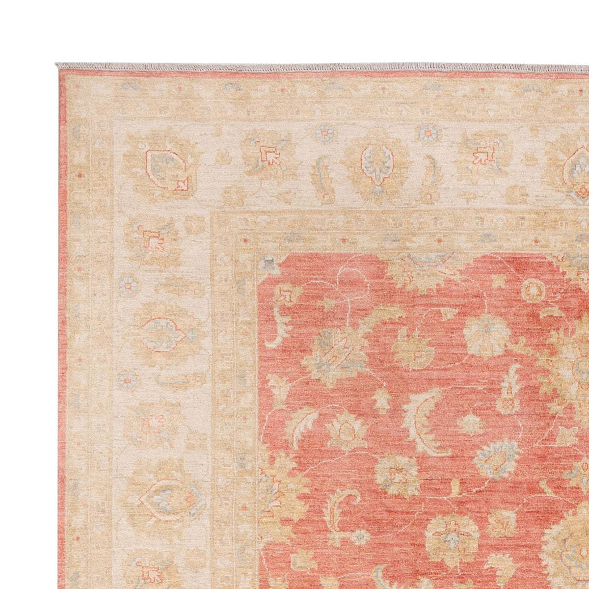 Ziegler Rug - 291 x 250 cm - light red
