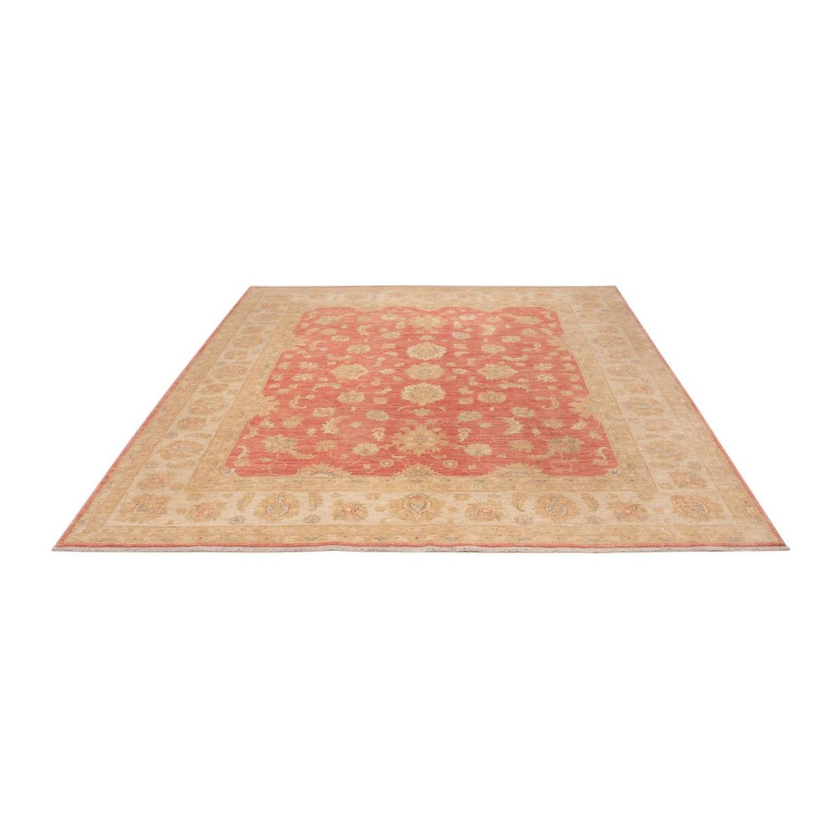 Ziegler Rug - 291 x 250 cm - light red