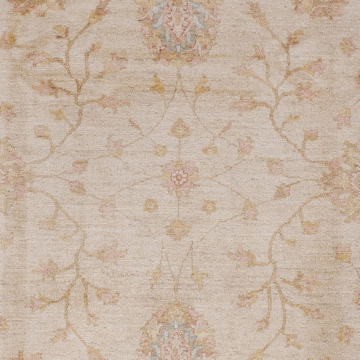 Ziegler Rug - 301 x 254 cm - beige
