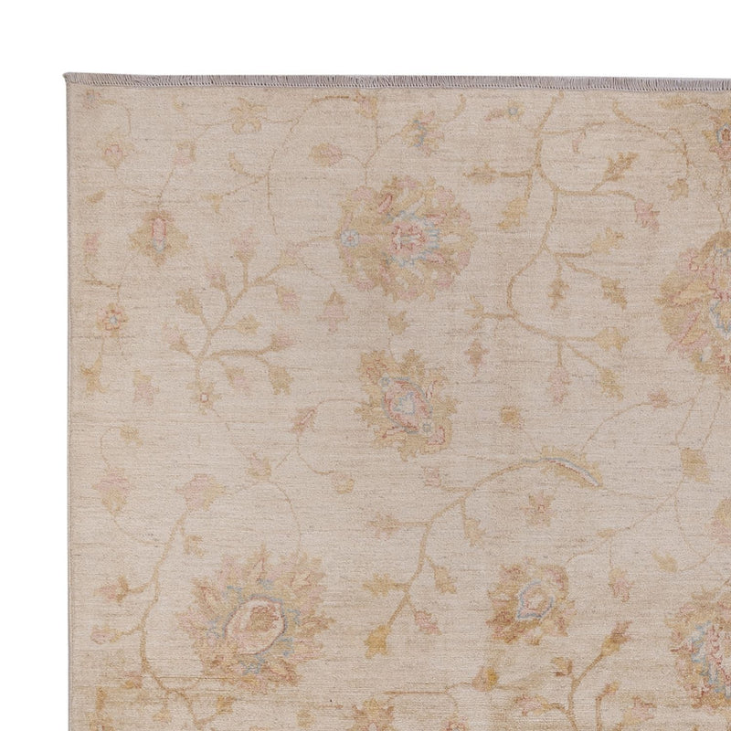 Ziegler Rug - 301 x 254 cm - beige