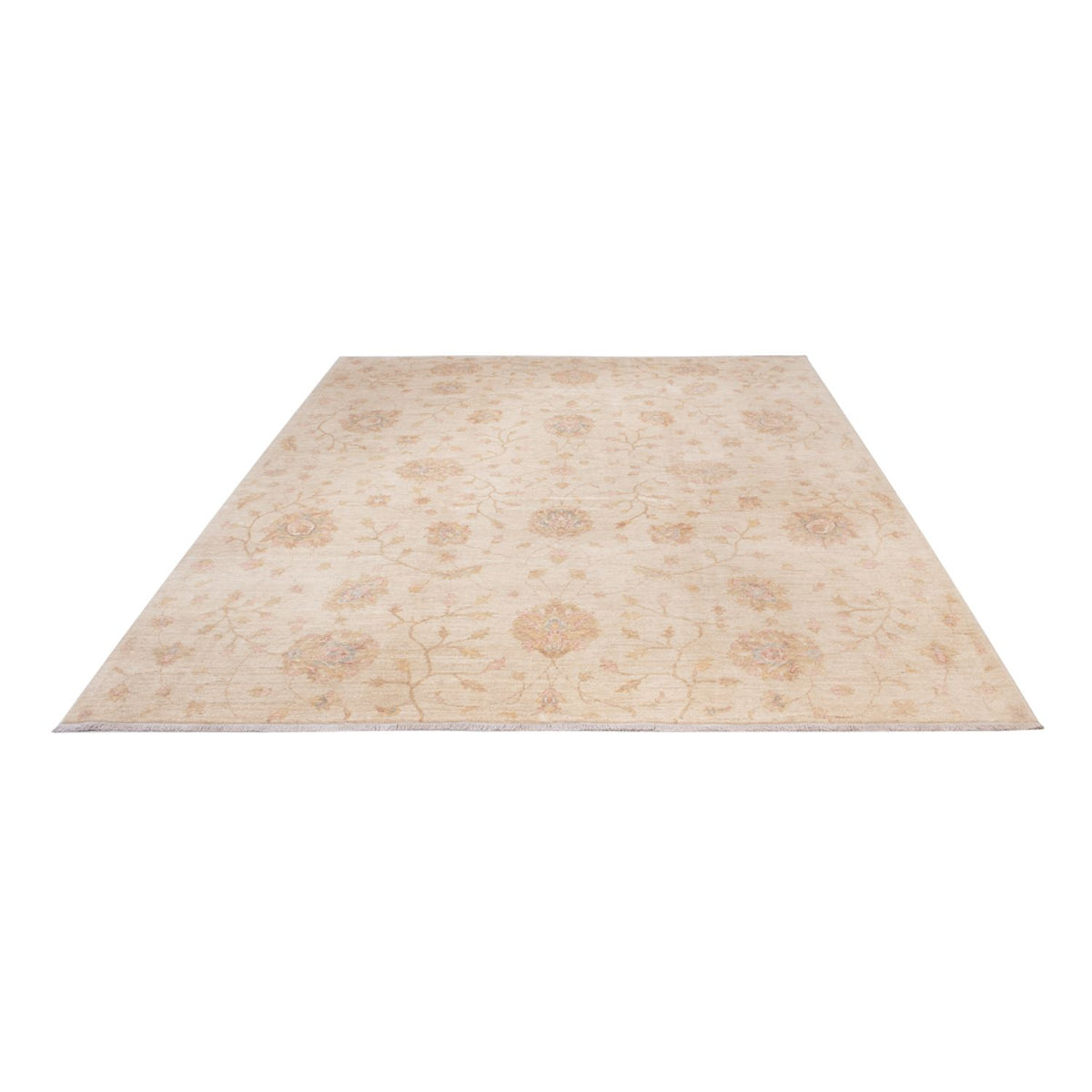 Ziegler Rug - 301 x 254 cm - beige