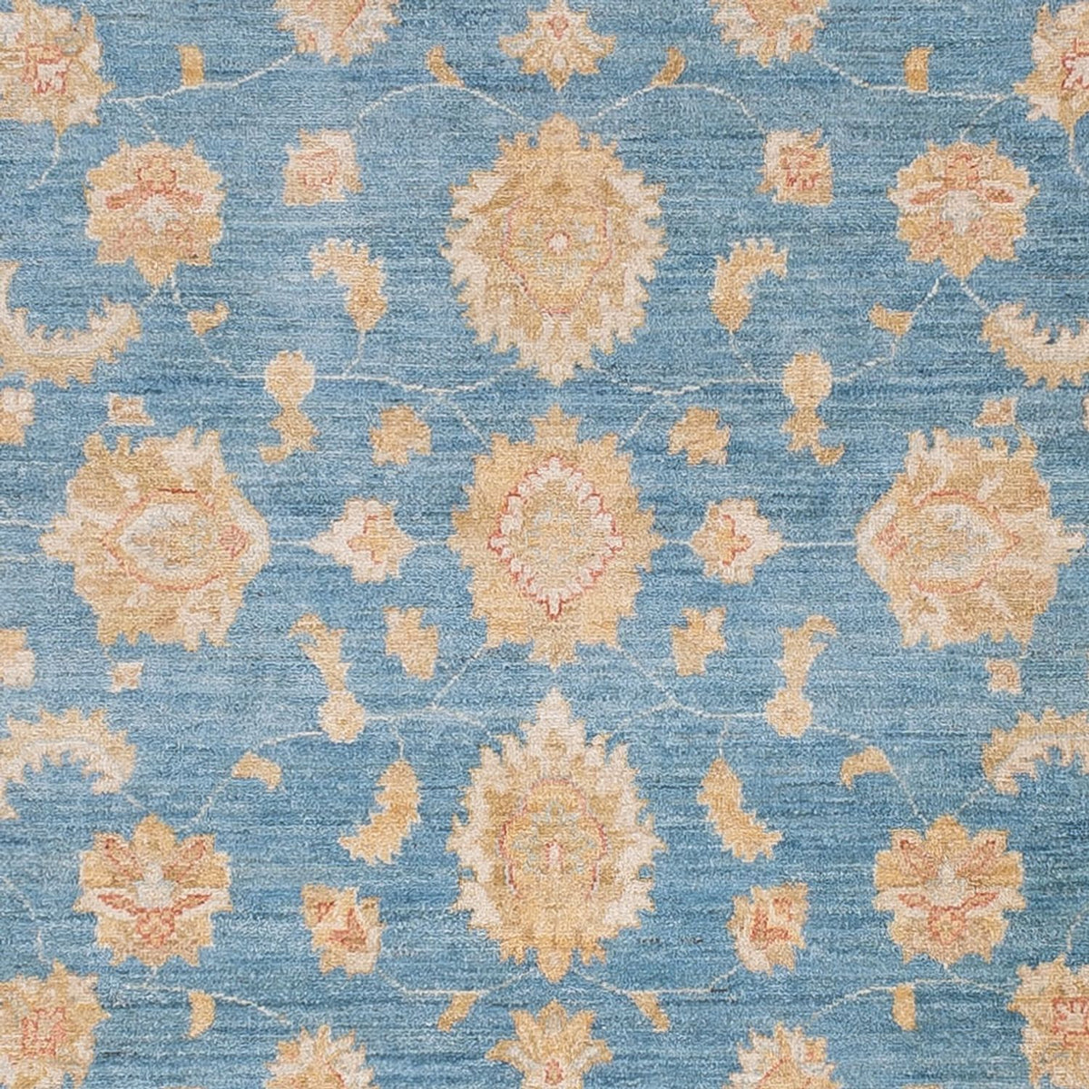 Ziegler Rug - 298 x 250 cm - light blue