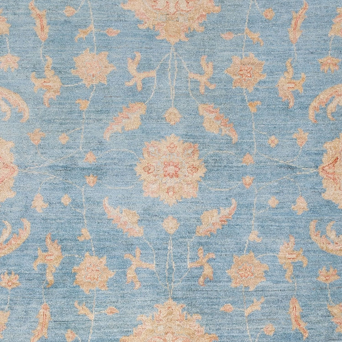 Ziegler Rug - Modern - 309 x 252 cm - light blue