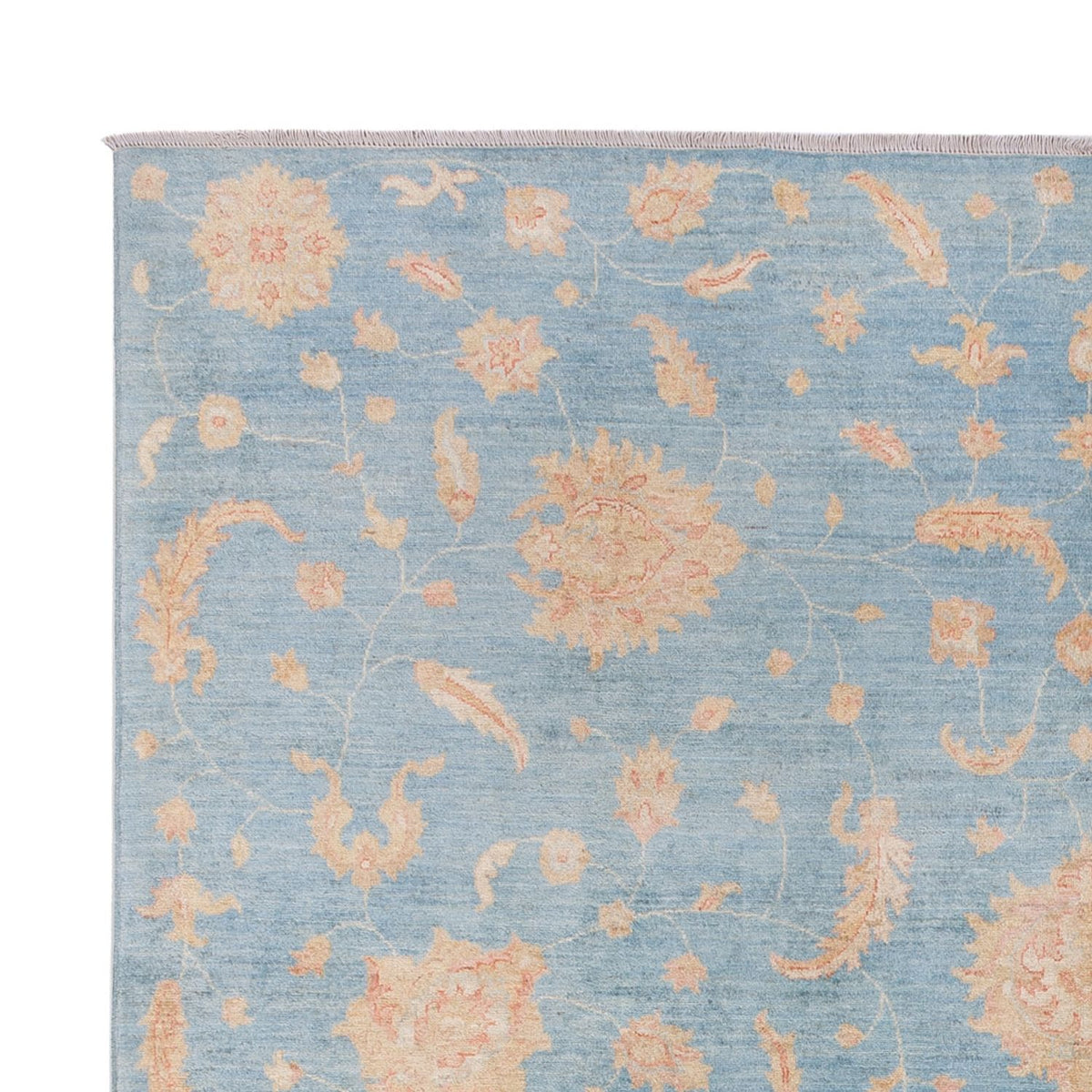 Ziegler Rug - Modern - 309 x 252 cm - light blue