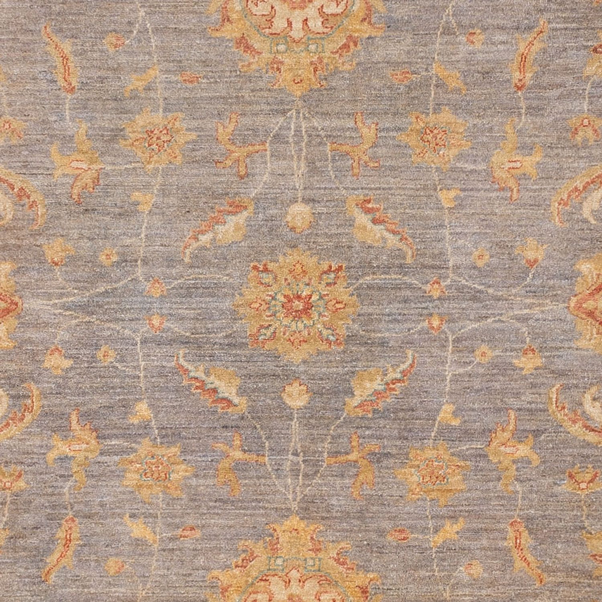Ziegler Rug - Modern - 304 x 250 cm - grey