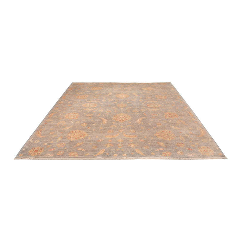 Ziegler Rug - Modern - 304 x 250 cm - grey