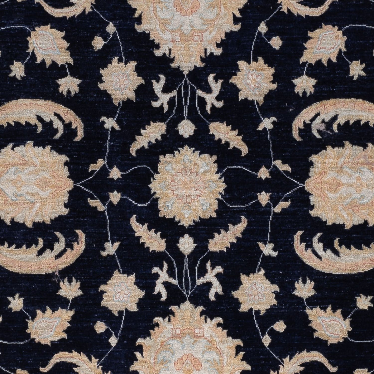 Ziegler Rug - 310 x 253 cm - black