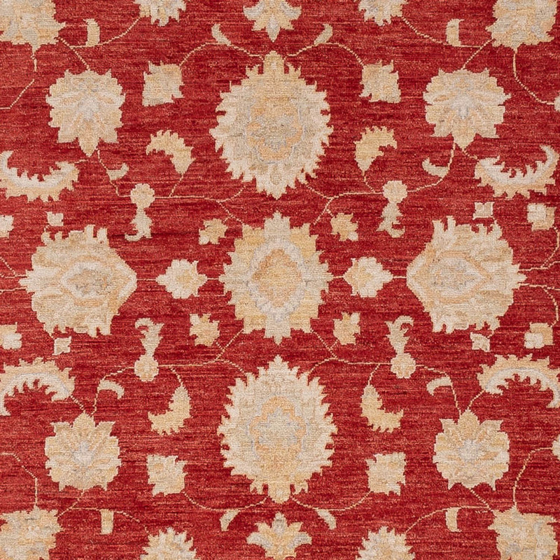 Ziegler Rug 303x250cm - Oriental Rug