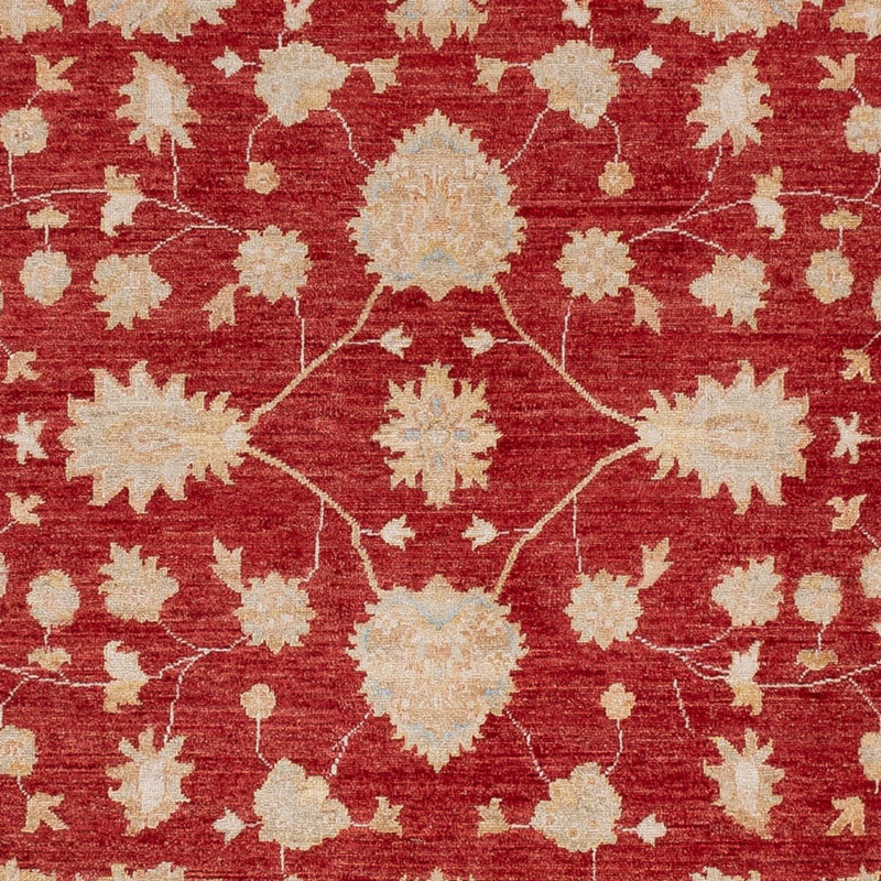 Ziegler Rug 299x247cm - Oriental Rug