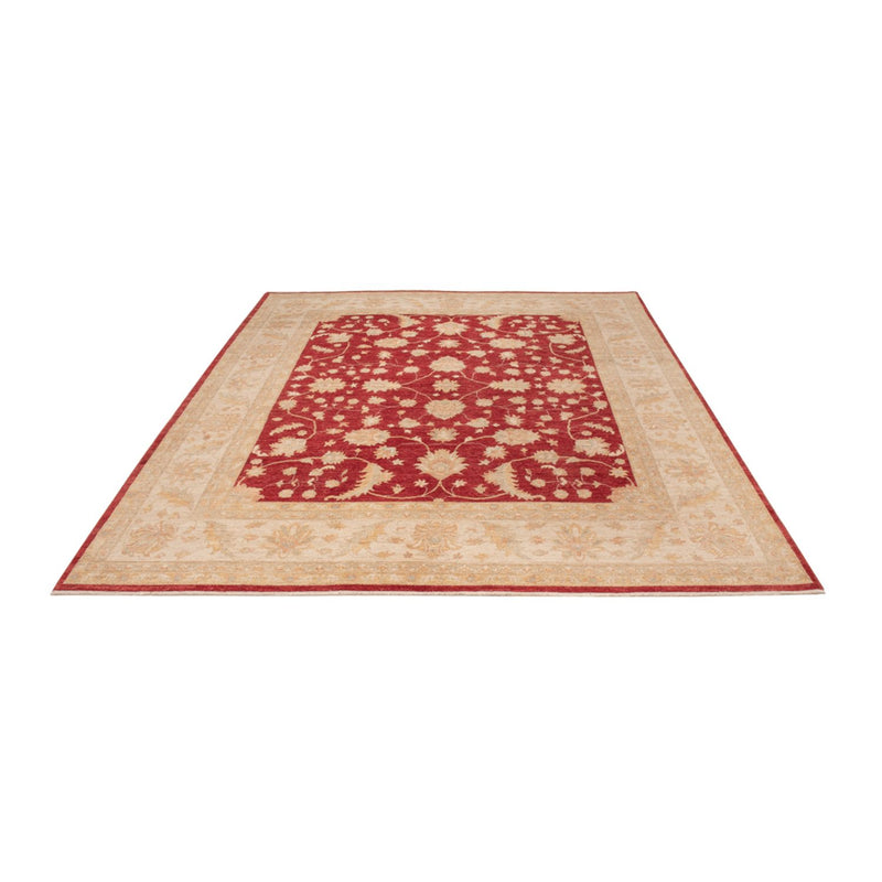 Ziegler Rug 299x247cm - Oriental Rug