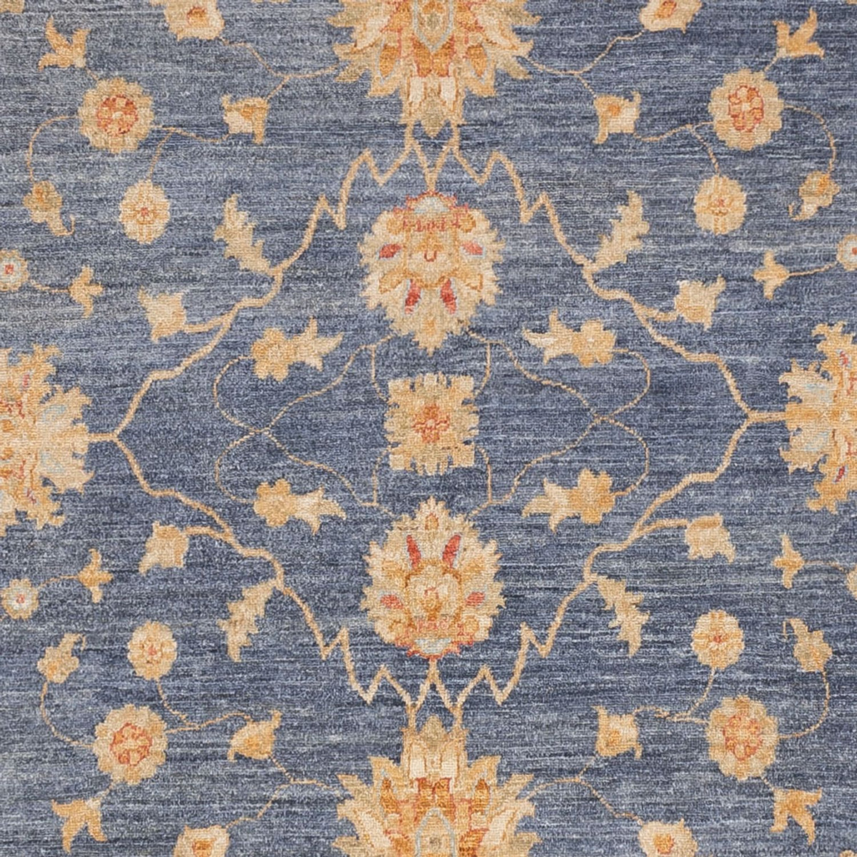 Ziegler Rug - 299 x 250 cm - blue