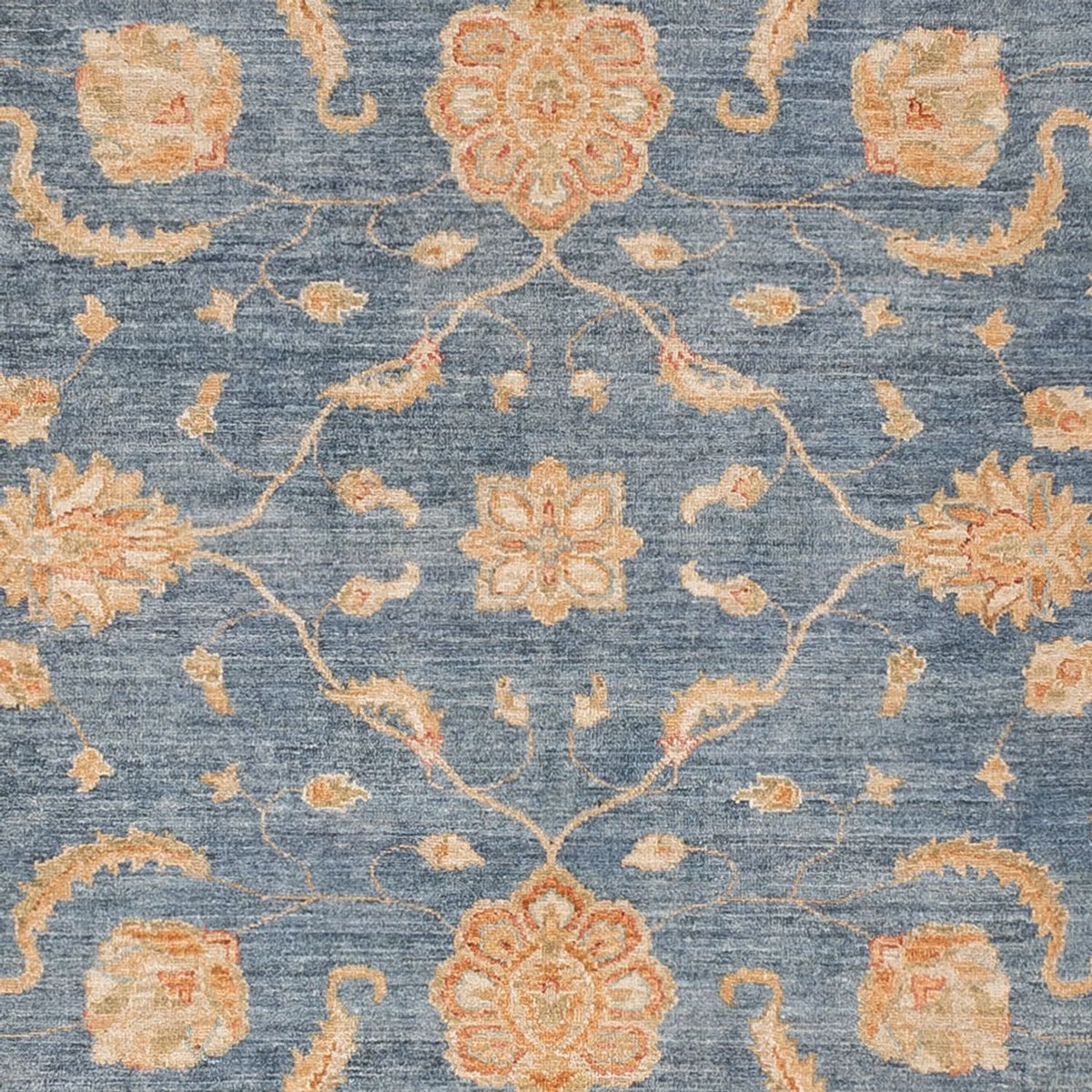 Ziegler Rug - 296 x 257 cm - blue