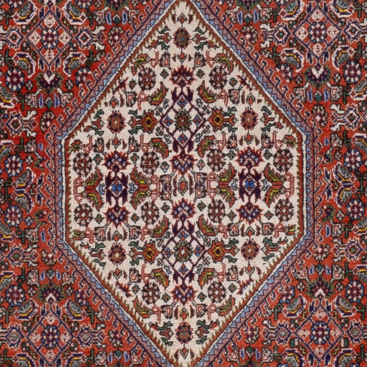 Perser Rug - Bidjar - 166 x 112 cm - red