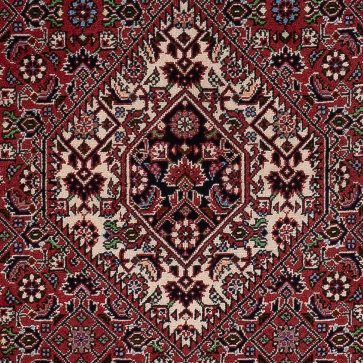 Perser Rug - Bidjar - 172 x 110 cm - red