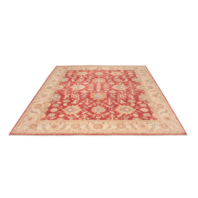 Ziegler Rug - 296 x 253 cm - red