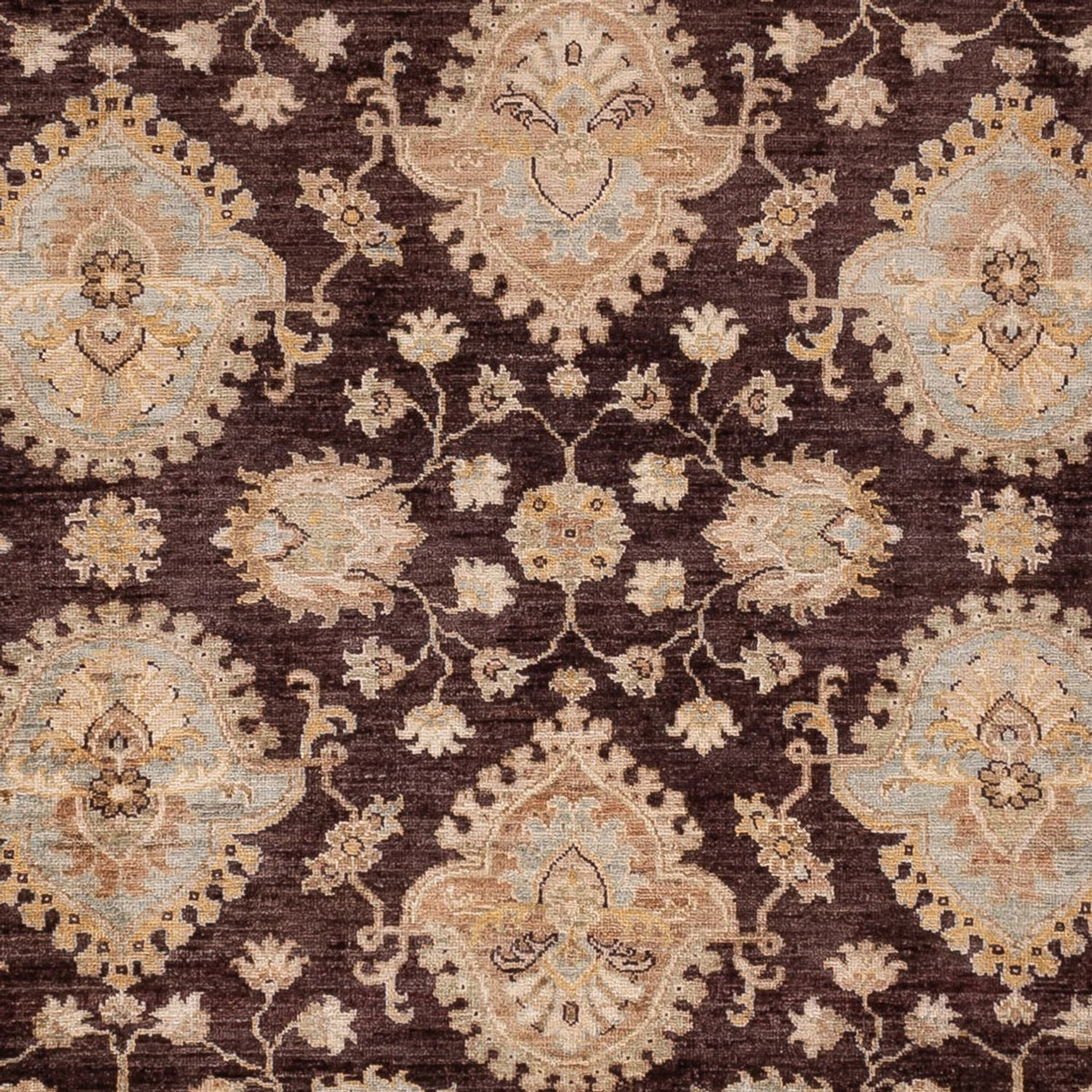 Ziegler Rug - 309 x 256 cm - brown