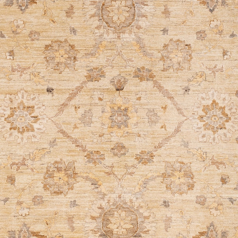 Ziegler Rug - 290 x 244 cm - beige